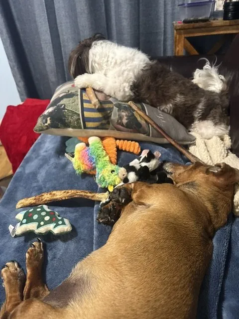 Nap time