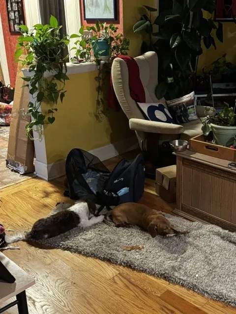 Wiped out